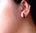 Earrings of Tucumã (dark brown)